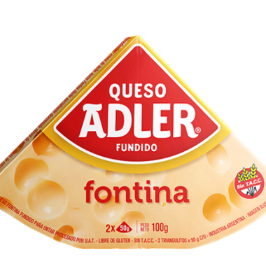 ADLER queso fontina x100g