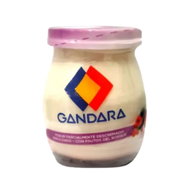 GANDARA yogur frasco colchon frutos rojos x200g