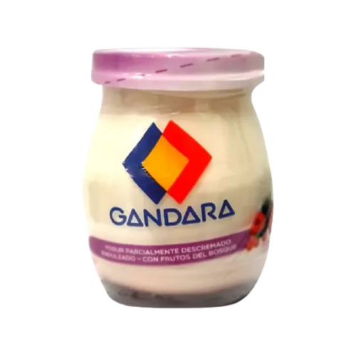 GANDARA yogur frasco colchon frutos rojos x200g